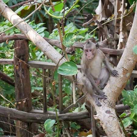 Le Bout Du Monde - Khmer Lodge Кеп Екстер'єр фото